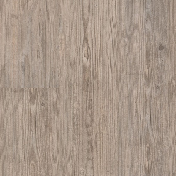 Ascona Pine Grey (LA018M5) 2576x585 mm