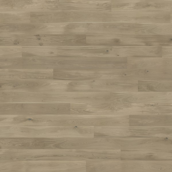 Oak Biscuits Grande 4400x2700 mm