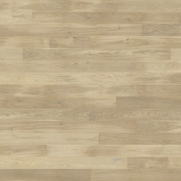 Oak Cheesecake Grande 4400x2700 mm