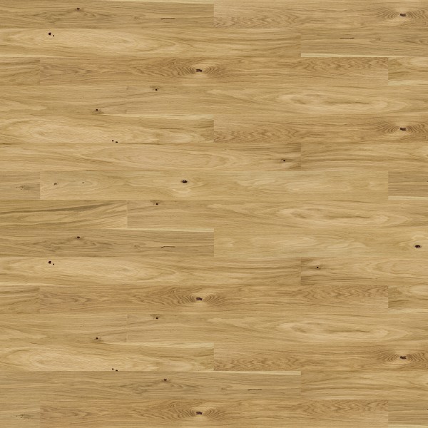 Oak Askania Grande 4400x2700 mm