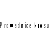 C&C Partners Telecom Sp. z o.o. - Prowadnice krosu - opis dwg